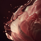 002 | Peony & Blush